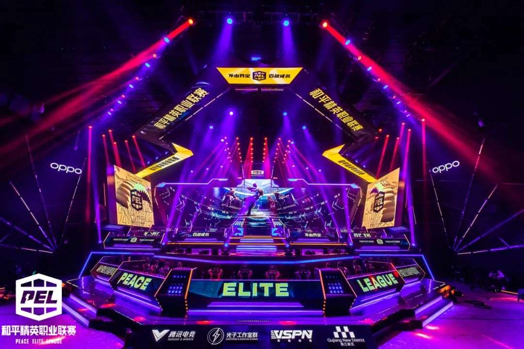 种族主义的 种族主义的